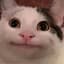avatar of user Hello Kitty