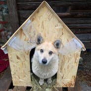 Avatar of player Здесь, в пещере