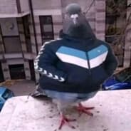 Avatar of player адольф тинкер