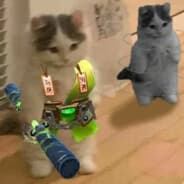 Avatar of player SummerDeath
