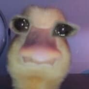 Avatar of player uNYXpected