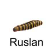 Avatar of player Руслан