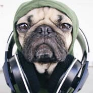 Avatar of player мохнатый пузик
