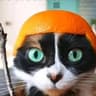 Avatar of player frazzy1337