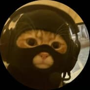 Avatar of player Ninja Cat