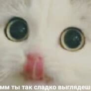 Avatar of player purrrfect >.<