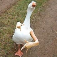 Avatar of player Mood_duck