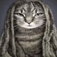 Avatar of player r₳ℤRǺℬo₸¢ĦiᏦ