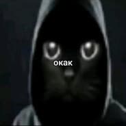 Avatar of player окак