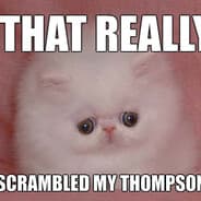 Avatar of player Thompson Scrambler