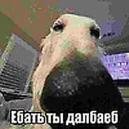 Avatar of player маратик