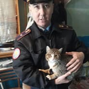 Avatar of player Подментованный кот