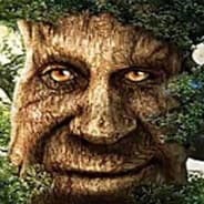Avatar of player 1