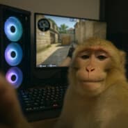 Avatar of player f.y.