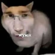 Avatar of player жужик