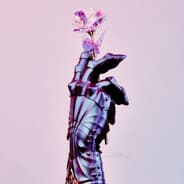 Avatar of player AMIKO'