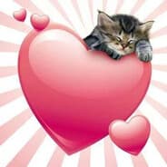 Avatar of player love enjoyer