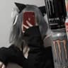 Avatar of player heliruin.?/𓆩 𓆪