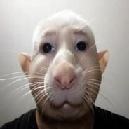 Avatar of player Мужчина-крыса