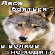 Avatar of player саня прайм ес чо