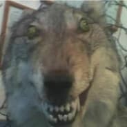 Avatar of player Сергiй