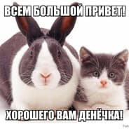 Avatar of player КОСТРАТ