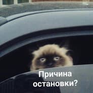 Avatar of player ЗАО "Бещеки"