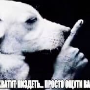 Avatar of player ребята 2