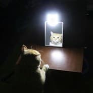 Avatar of player кушаю бублики