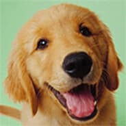 Avatar of player кереешка