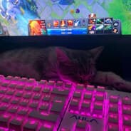 Avatar of player Hilky