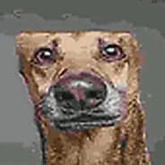 Avatar of player скибидиярик
