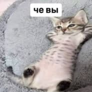 Avatar of player че вы