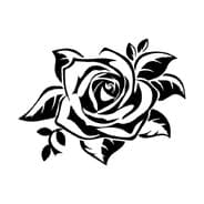 Avatar of player derrick rose