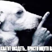 Avatar of player ощути вайб