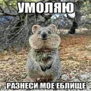 Avatar of player Дима ноукэш
