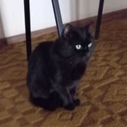 Avatar of player Нереальный Багир