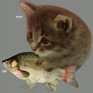 Avatar of player жижликс
