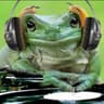 Avatar of player DJ ЖАБА