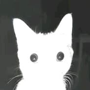 Avatar of player whereishell
