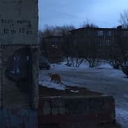 Avatar of player всефидящий
