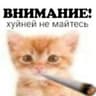 Avatar of player добродатель