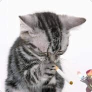 Avatar of player temp or feed