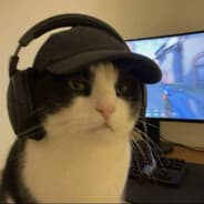Avatar of player Lowtab enjoyer