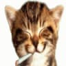 Avatar of player Okypok√B√KoJI9cky