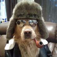 Avatar of player Курю чай