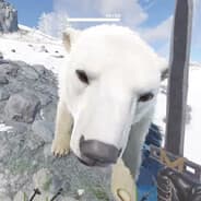 Avatar of player Мой бро лучший на тинкере!!!