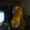 Avatar of player bzdun