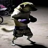 Avatar of player торч пчелоёб