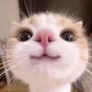 Avatar of player meowmoore